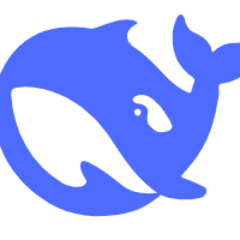 DeepSeek